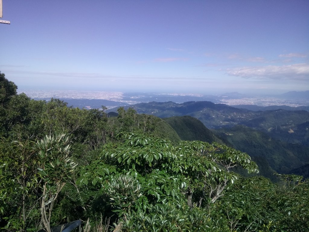 DSC_8961.JPG - 復興  東眼山森林步道