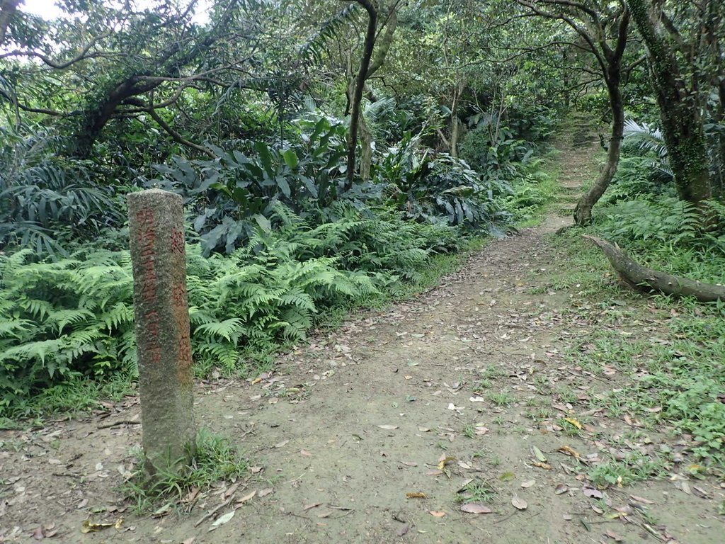 P4143537.JPG - 基隆  五坑山  總督嶺步道