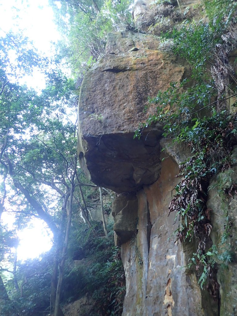 PB300542.JPG - 中和  圓通禪寺之  摩崖石刻