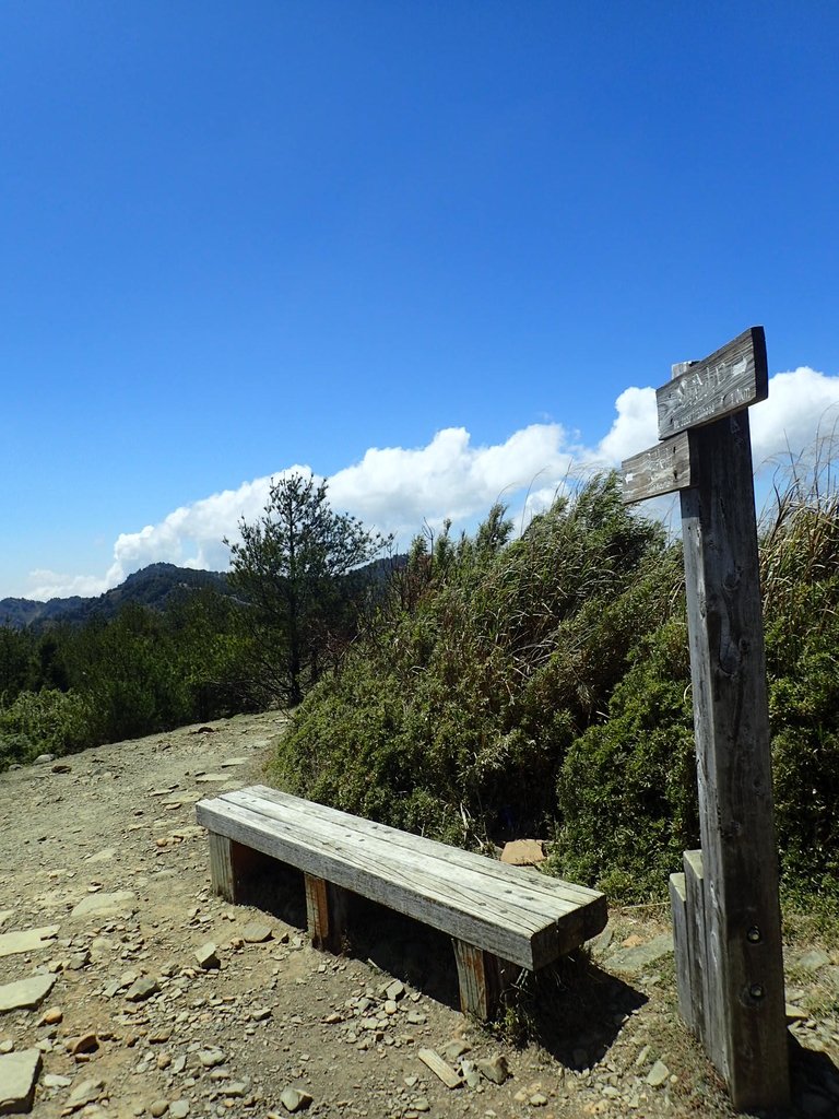 P3268167.JPG - 鹿林山  麟趾山步道  (02)