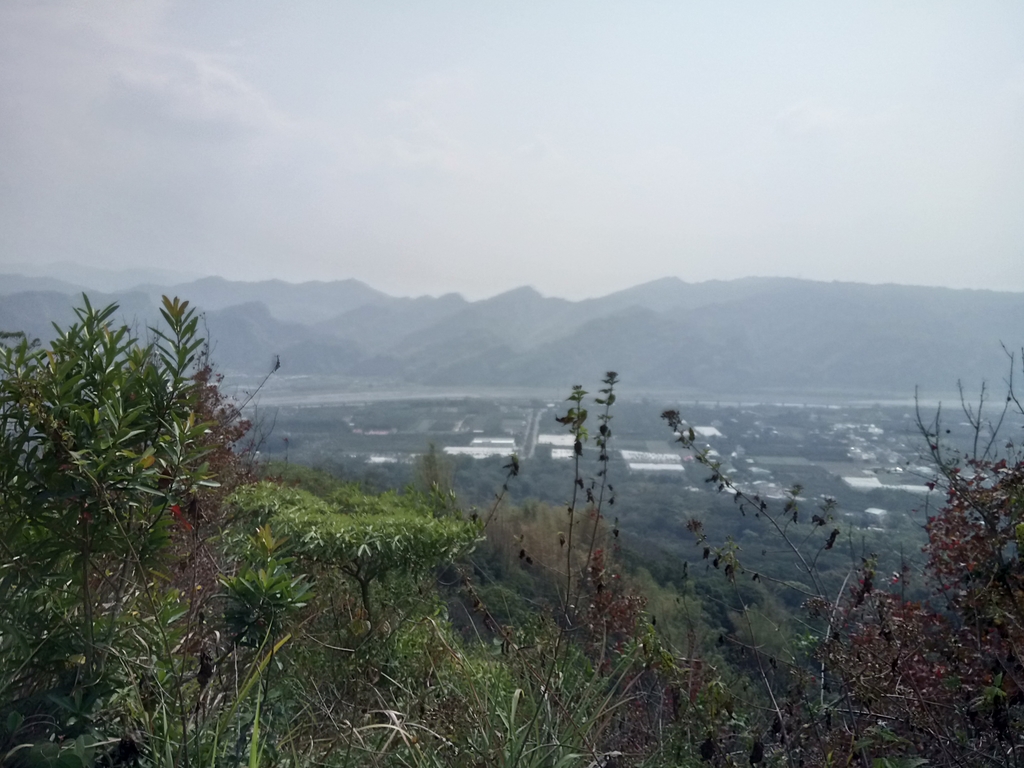 DSC_7323.JPG - 草屯平林  九九峰森林步道