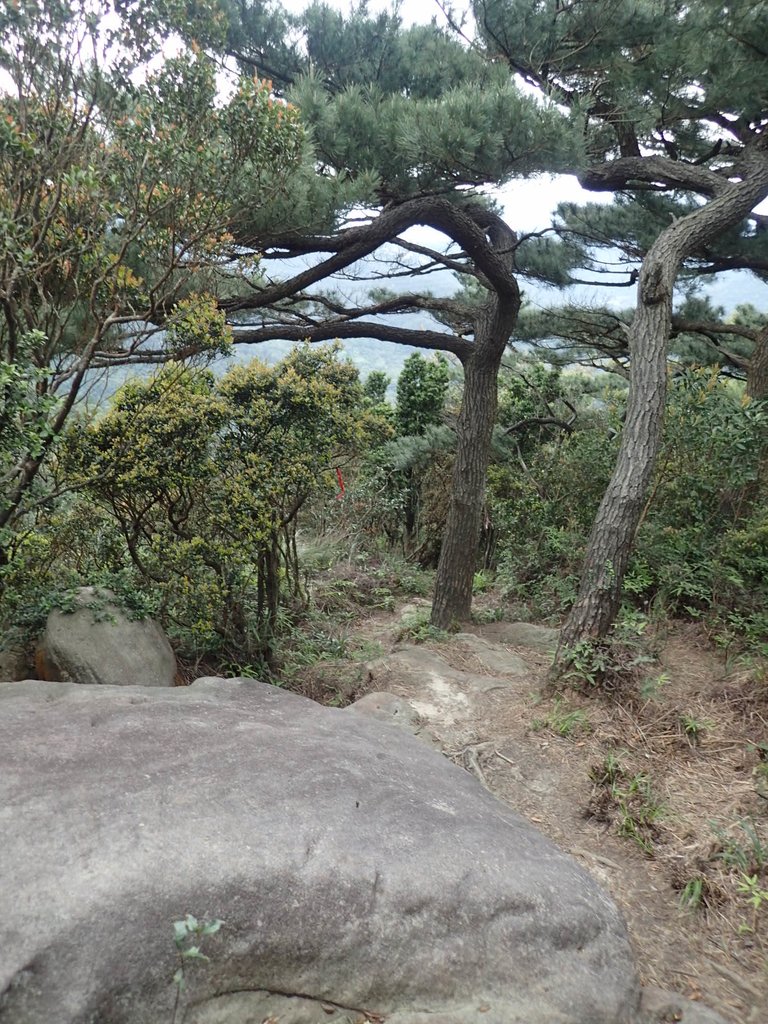 P3160052.JPG - 汐止  柯子林山  如意湖