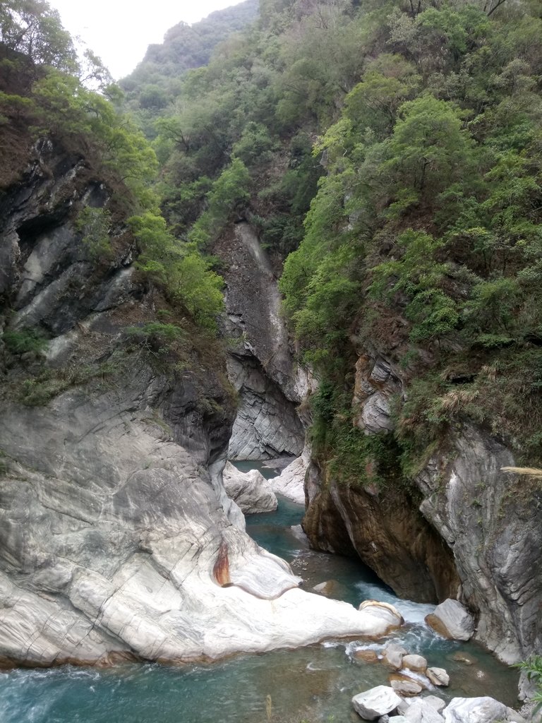 DSC_0557.JPG - 花蓮  天祥  白楊步道