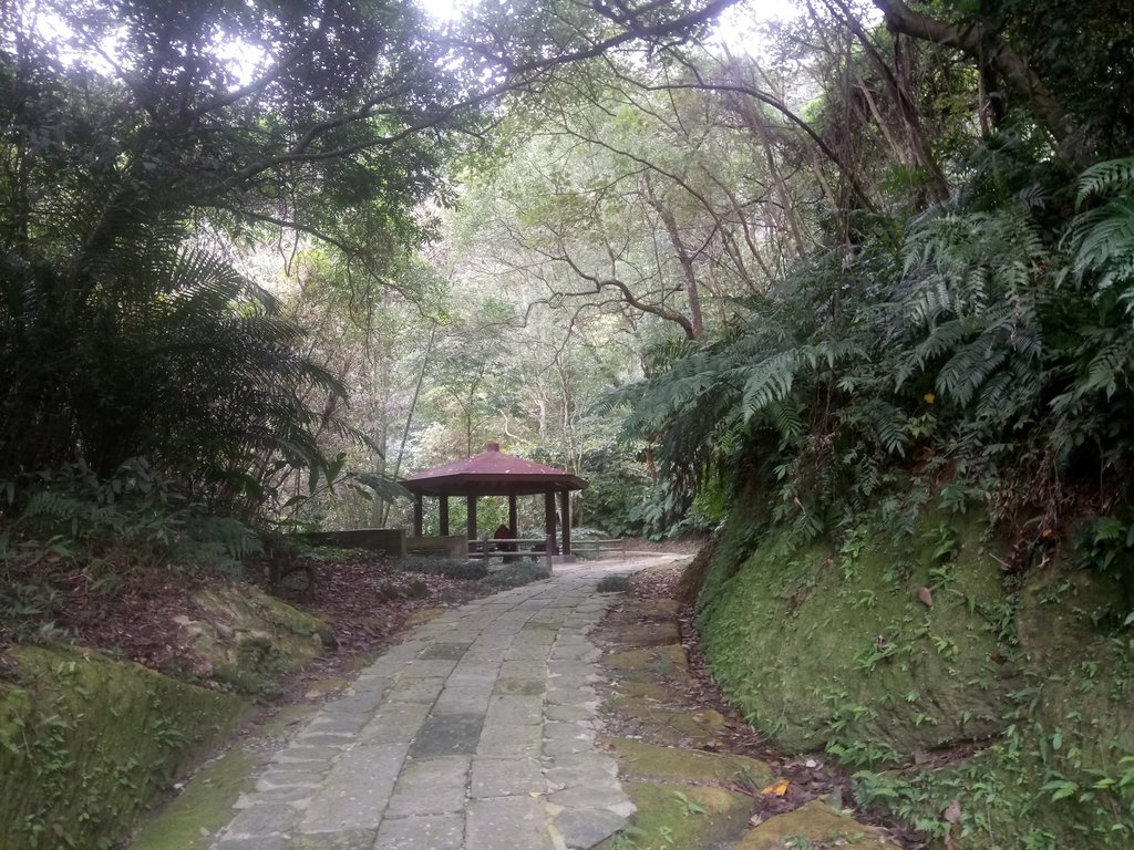 DSC_2794.JPG - 獅頭山  獅山古道  (02)