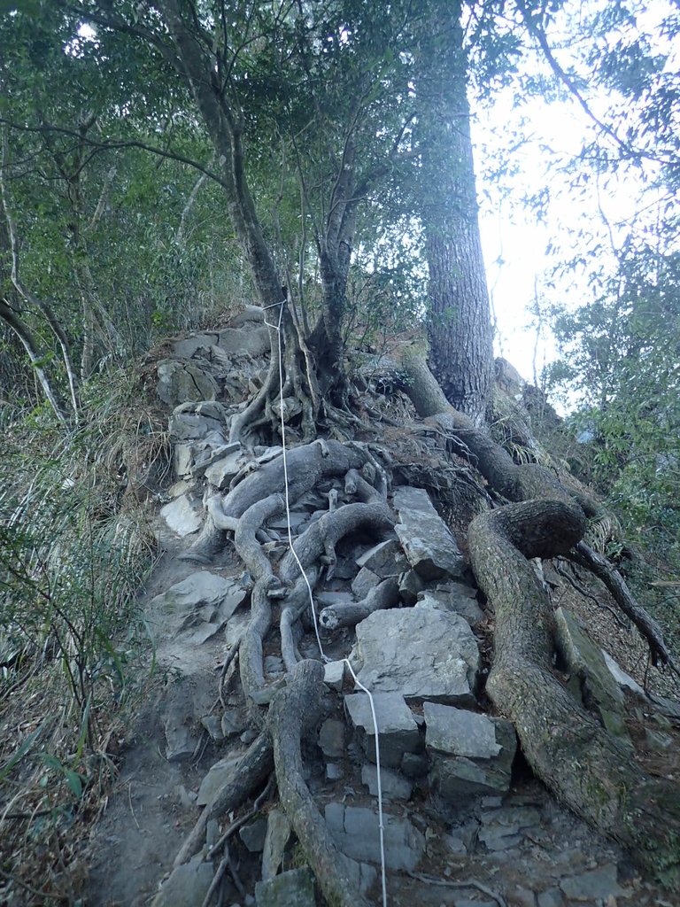 P2275854.JPG - 谷關七雄之  唐麻丹山