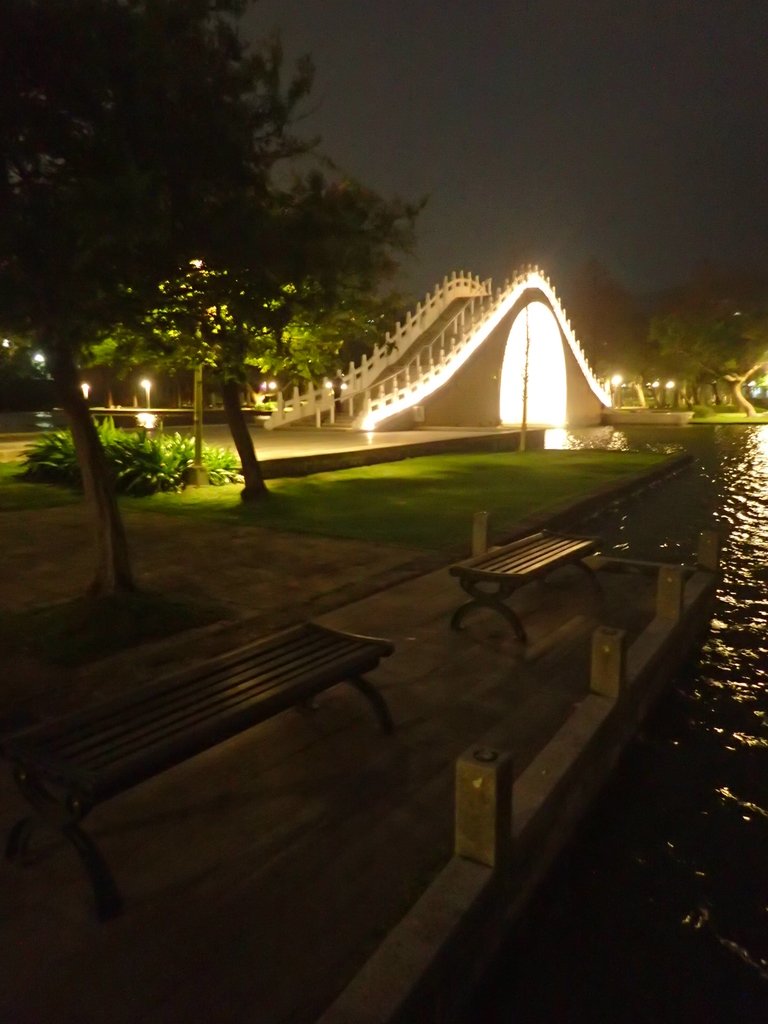 P3116974.JPG - 內湖  大湖公園之夜色