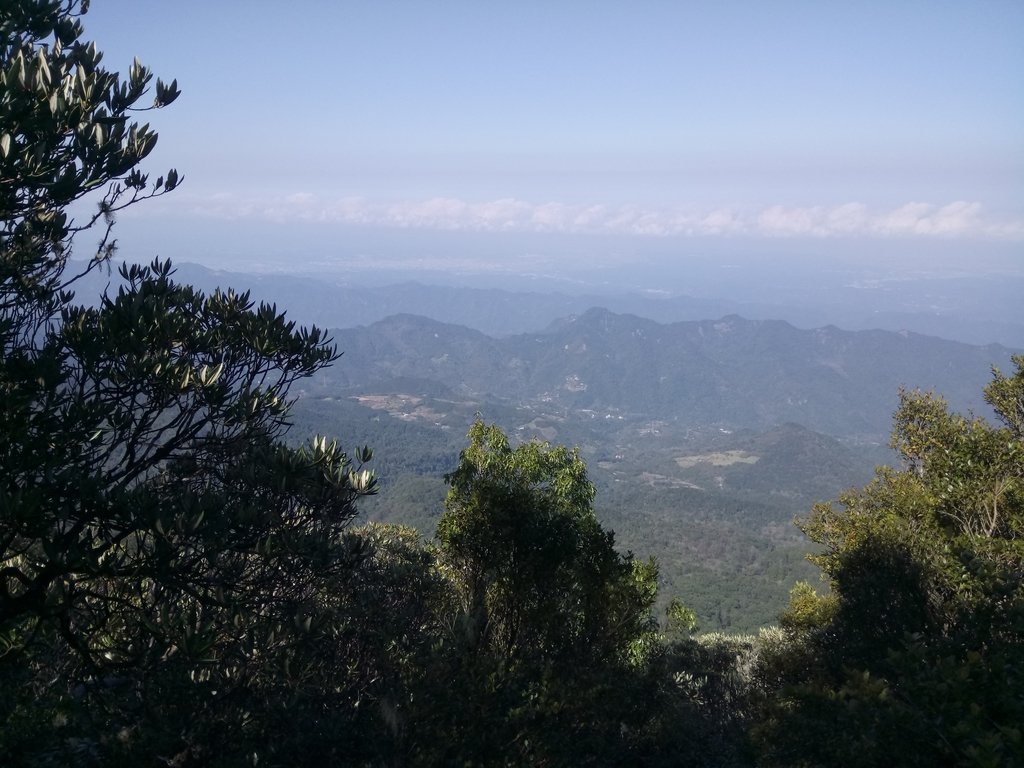 DSC_3611.JPG - 南庄  大坪林道  杜鵑嶺