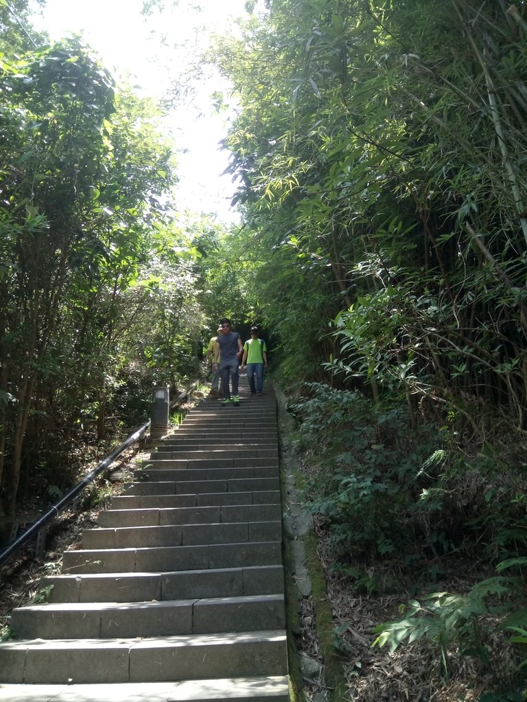 DSC_6848.JPG - 觀音山  風櫃斗湖登山步道