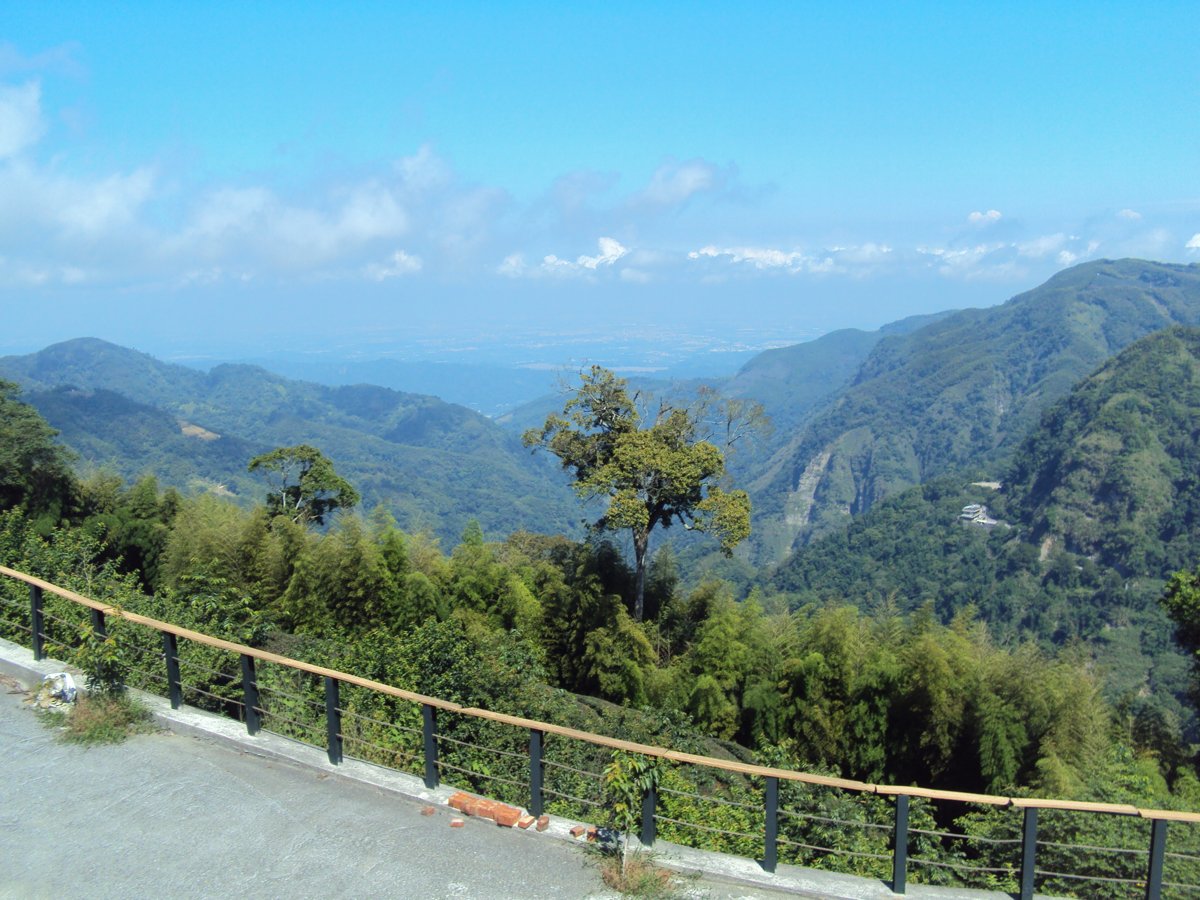 DSC07956.JPG - 竹山  軟鞍  八卦茶園