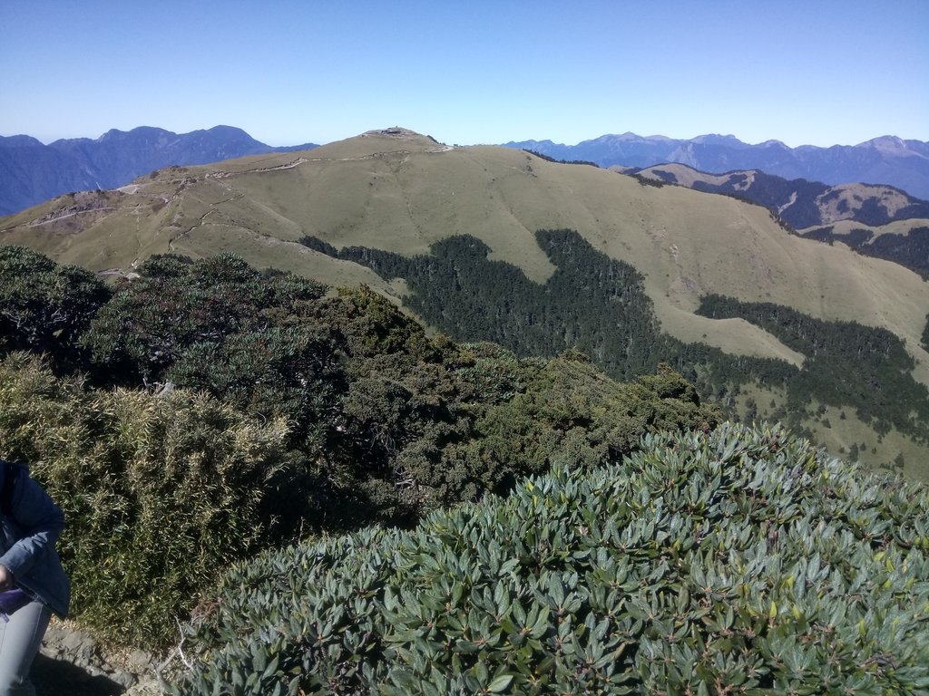 DSC_6687.JPG - 合歡山  東峰