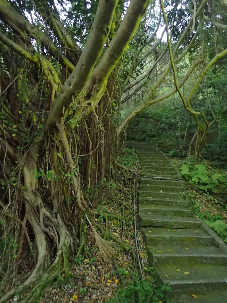 PC018110.JPG - 大直  正願禪寺