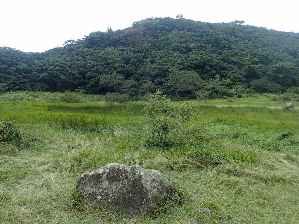 P9238218.JPG - 北投  面天山  向天湖步道