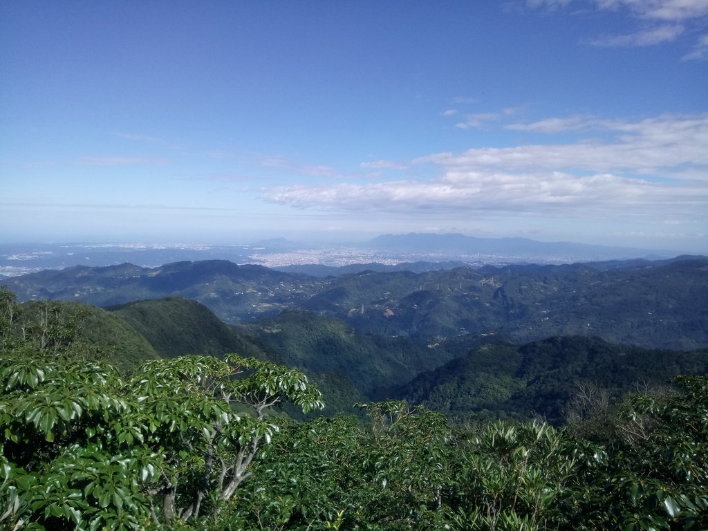 DSC_8962.JPG - 復興  東眼山森林步道