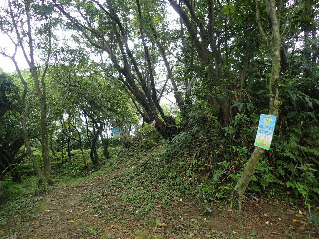 P4143545.JPG - 基隆  五坑山  總督嶺步道