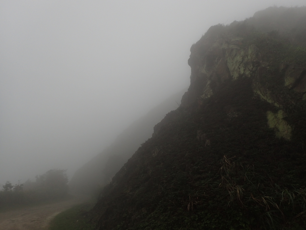 P1203412.JPG - 瑞芳  牡丹山