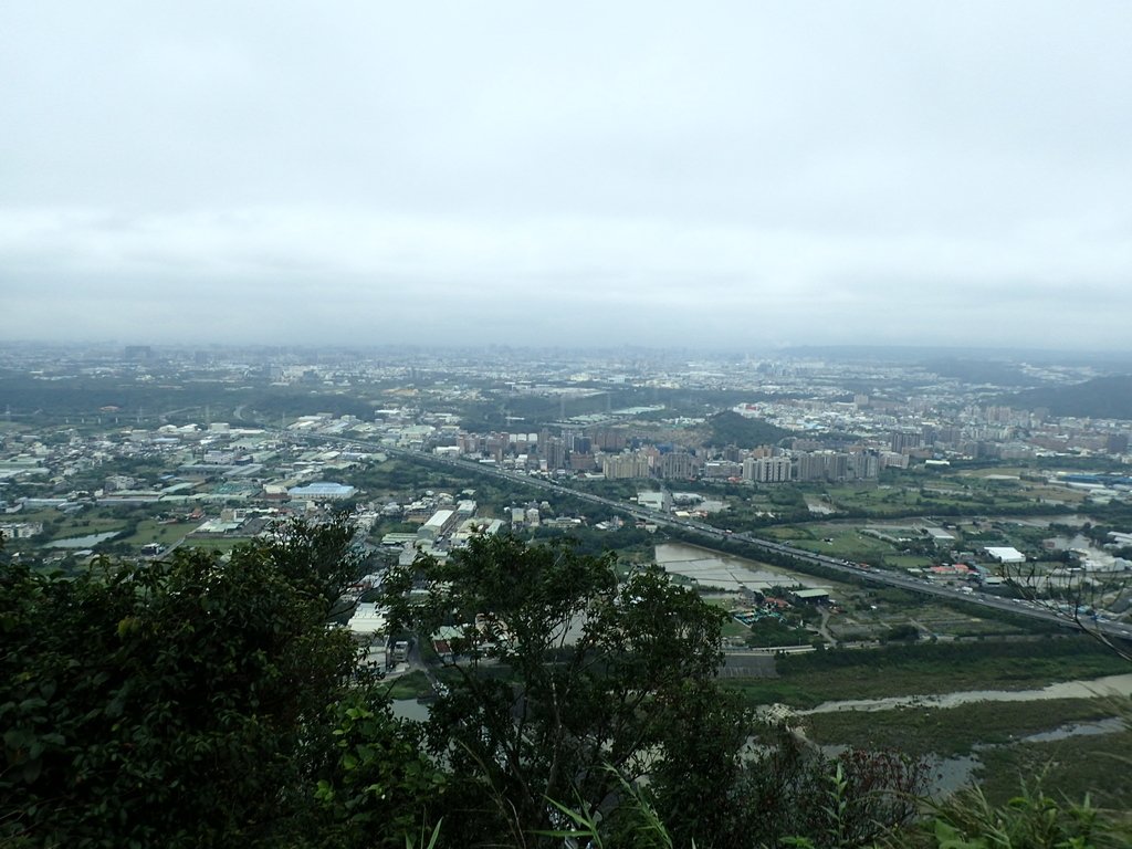 P2168046.JPG - 三峽  鳶山  (福德坑山)