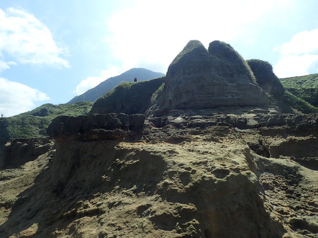 PA114991.JPG - 東北角海岸岩石之美  (05)