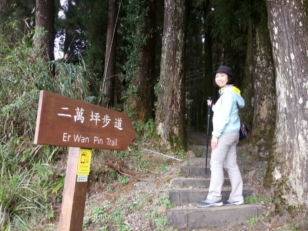 DSC_1547.JPG - 阿里山  二萬坪步道