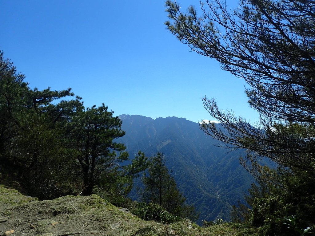 P3268103.JPG - 鹿林山  麟趾山步道  (01)