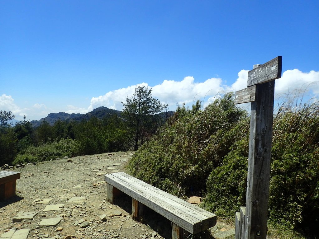 P3268168.JPG - 鹿林山  麟趾山步道  (02)