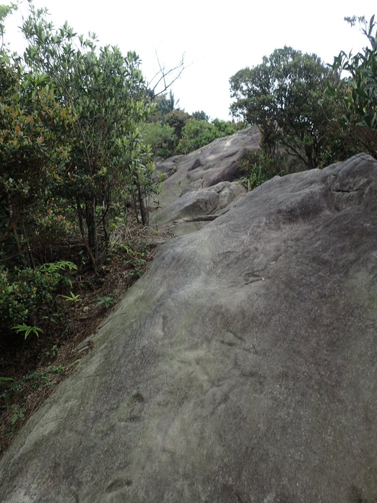 P3160054.JPG - 汐止  柯子林山  如意湖