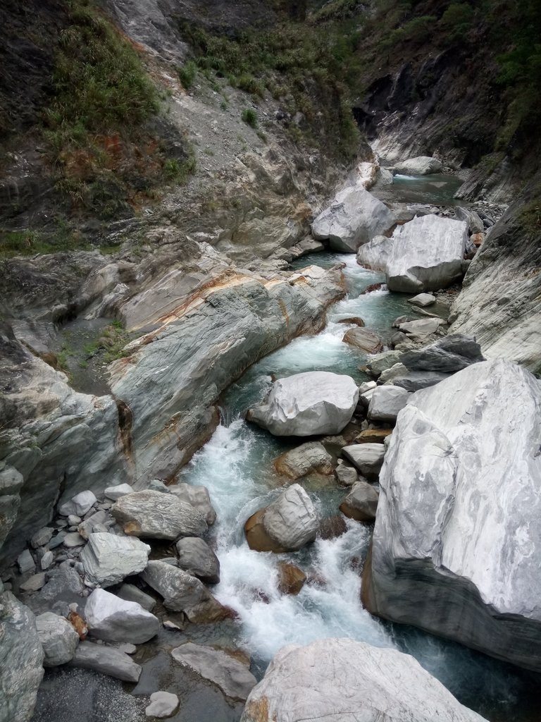 DSC_0563.JPG - 花蓮  天祥  白楊步道