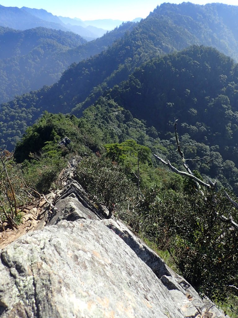 PA185540.JPG - 再訪---  台中  和平  鳶嘴山