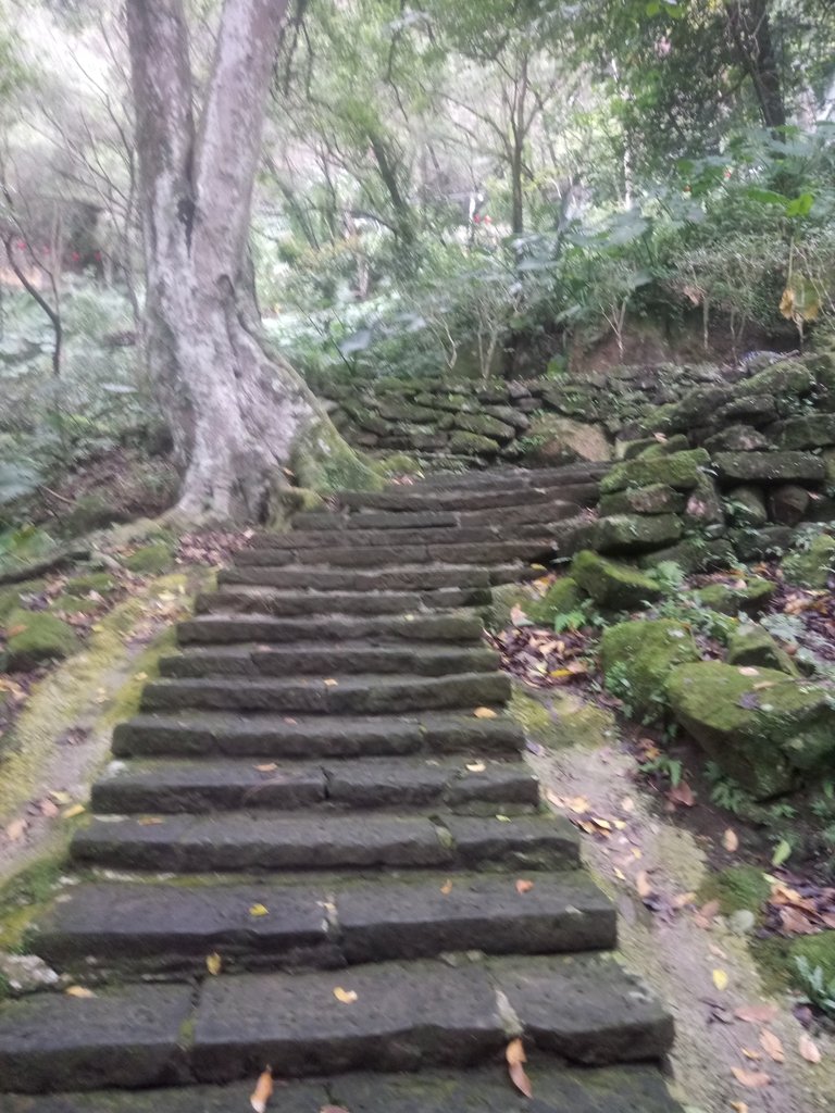 DSC_2799.JPG - 獅頭山  獅山古道  (02)