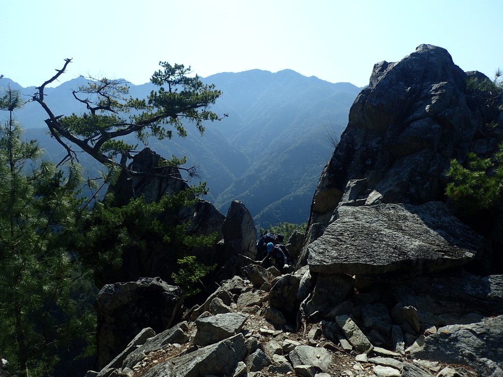 P3167233.JPG - 谷關  東卯山東南稜