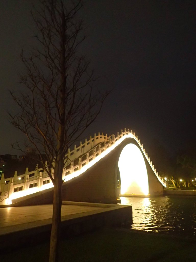 P3116975.JPG - 內湖  大湖公園之夜色