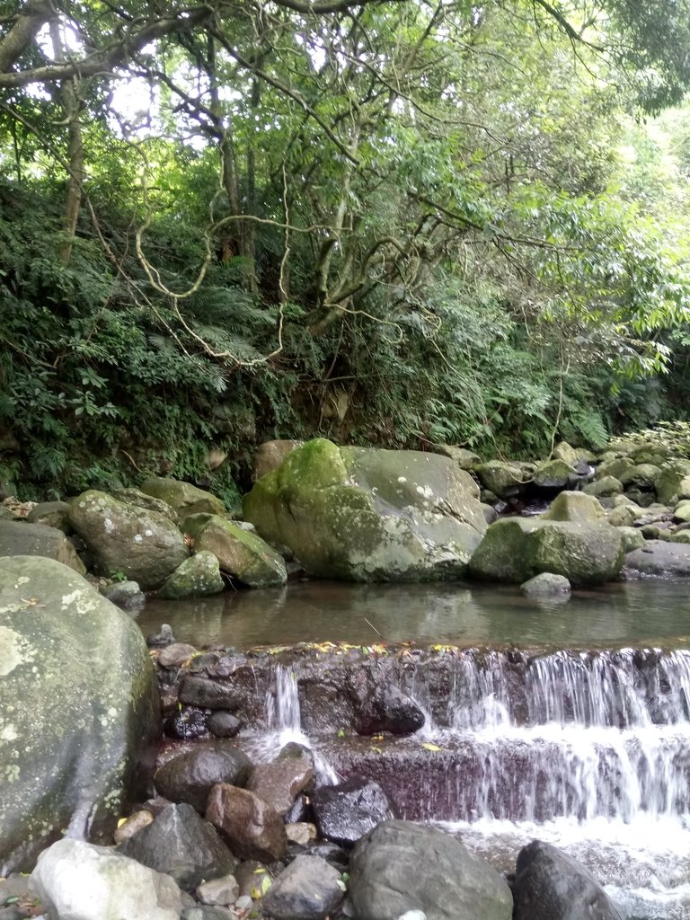 DSC_0667.JPG - 三芝  三板橋