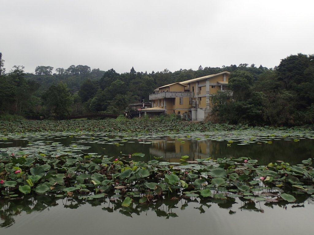 P9250266.JPG - 南庄  向天湖之  環湖步道