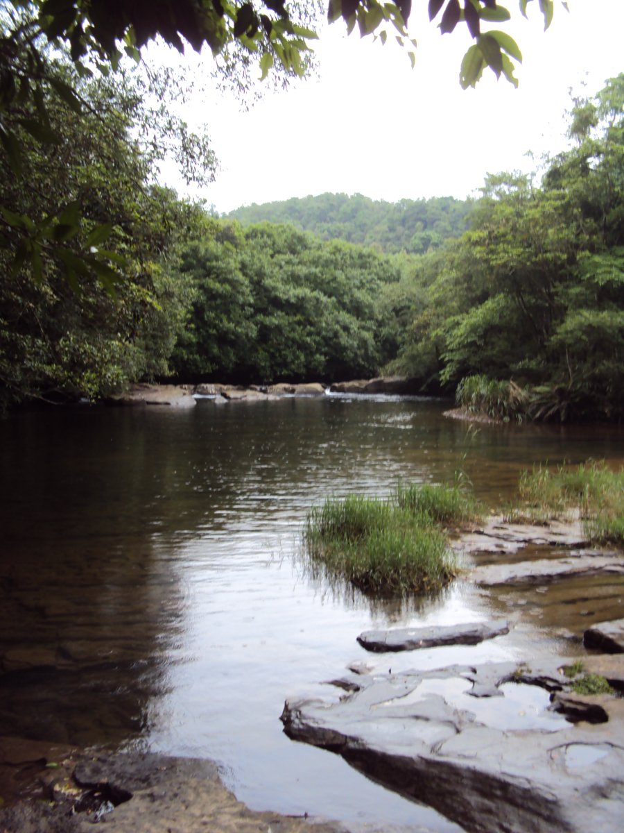 DSC07437.JPG - 雙溪  泰平村  虎豹潭