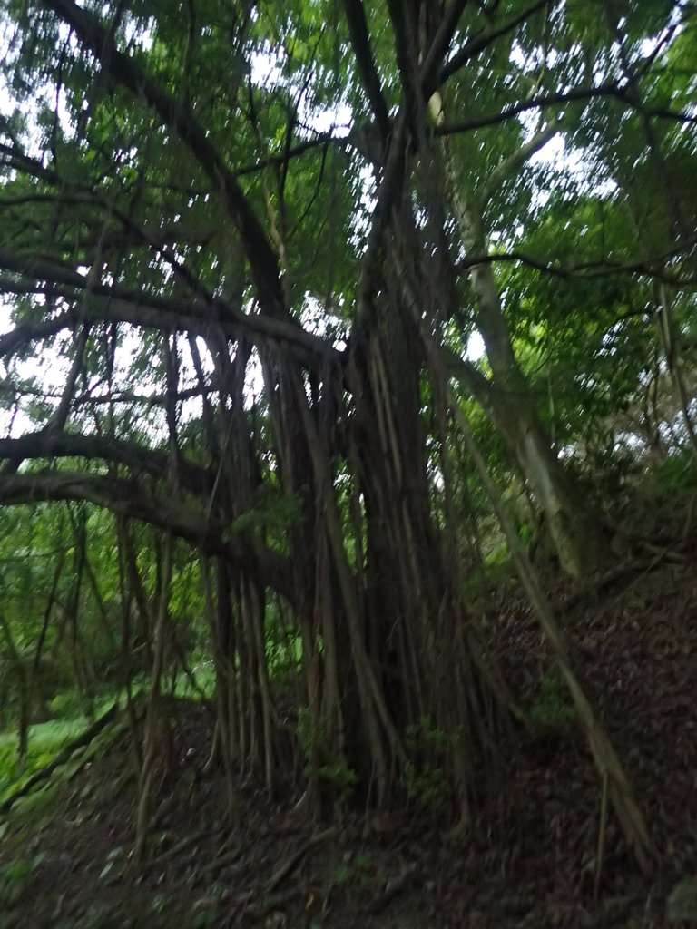 PC018115.JPG - 大直  正願禪寺