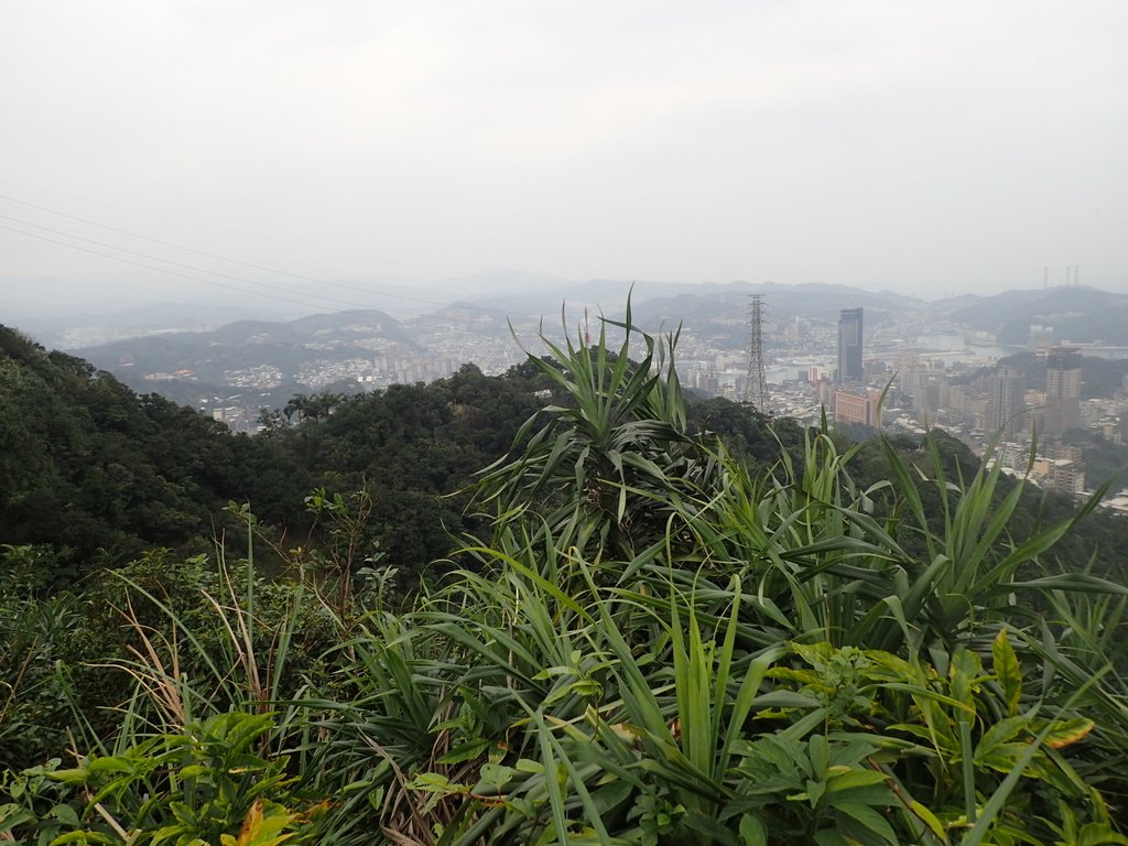 P1233800.JPG - 再訪---  基隆  紅淡山