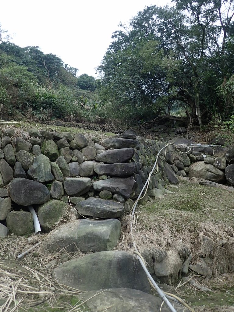 P1263988.JPG - 金山  大路崁古道