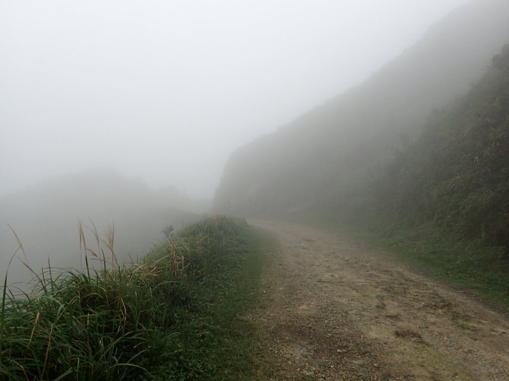 P1203415.JPG - 瑞芳  牡丹山