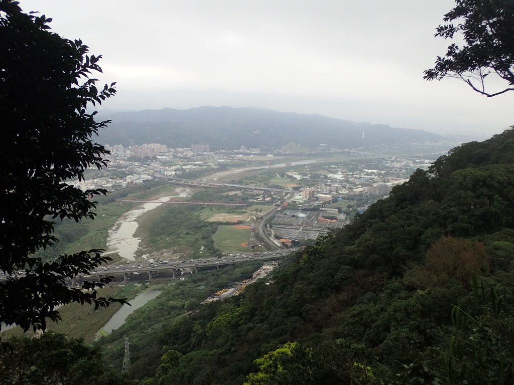 P2168060.JPG - 三峽  鳶山  (福德坑山)