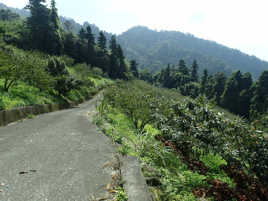 PA064494.JPG - 大湖  馬那邦山  (03)