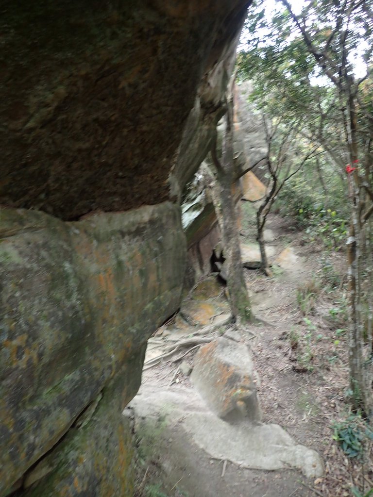 P3160078.JPG - 汐止  柯子林山  如意湖