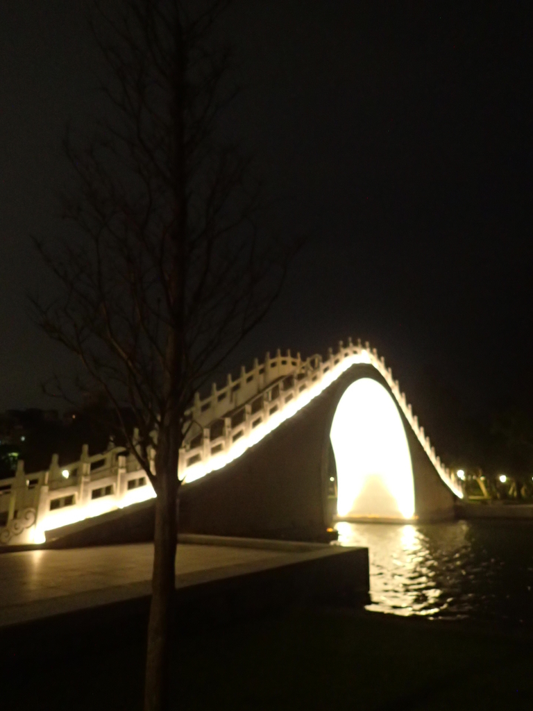 P3116979.JPG - 內湖  大湖公園之夜色