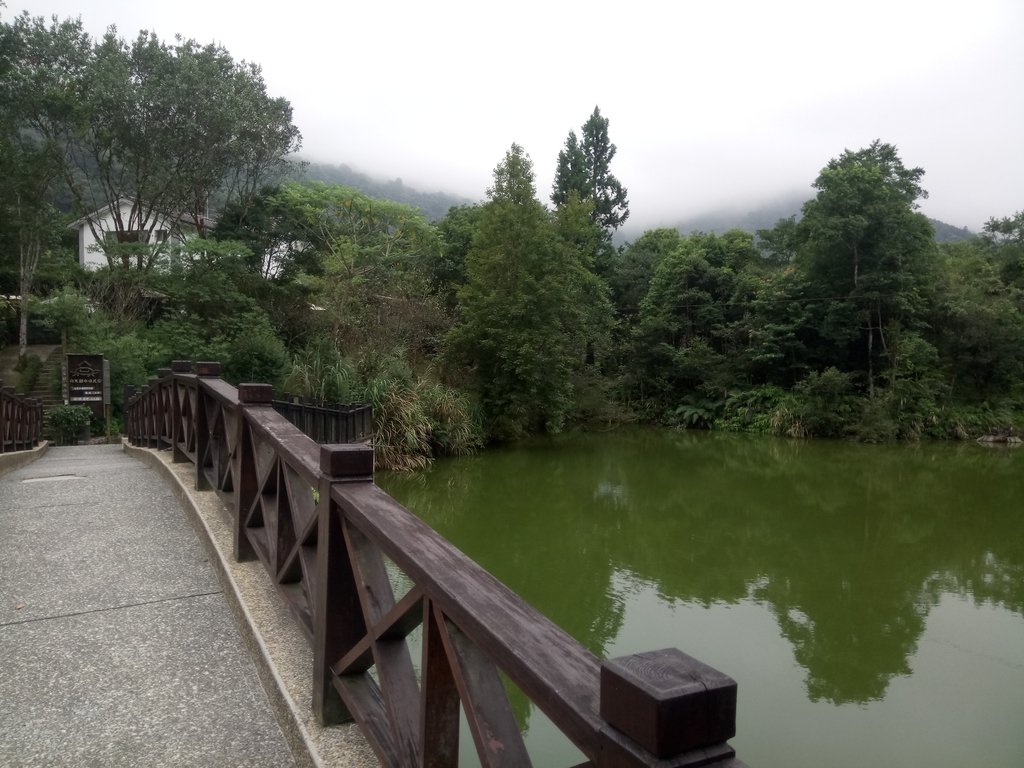 DSC_2948.JPG - 南庄  向天湖之  環湖步道