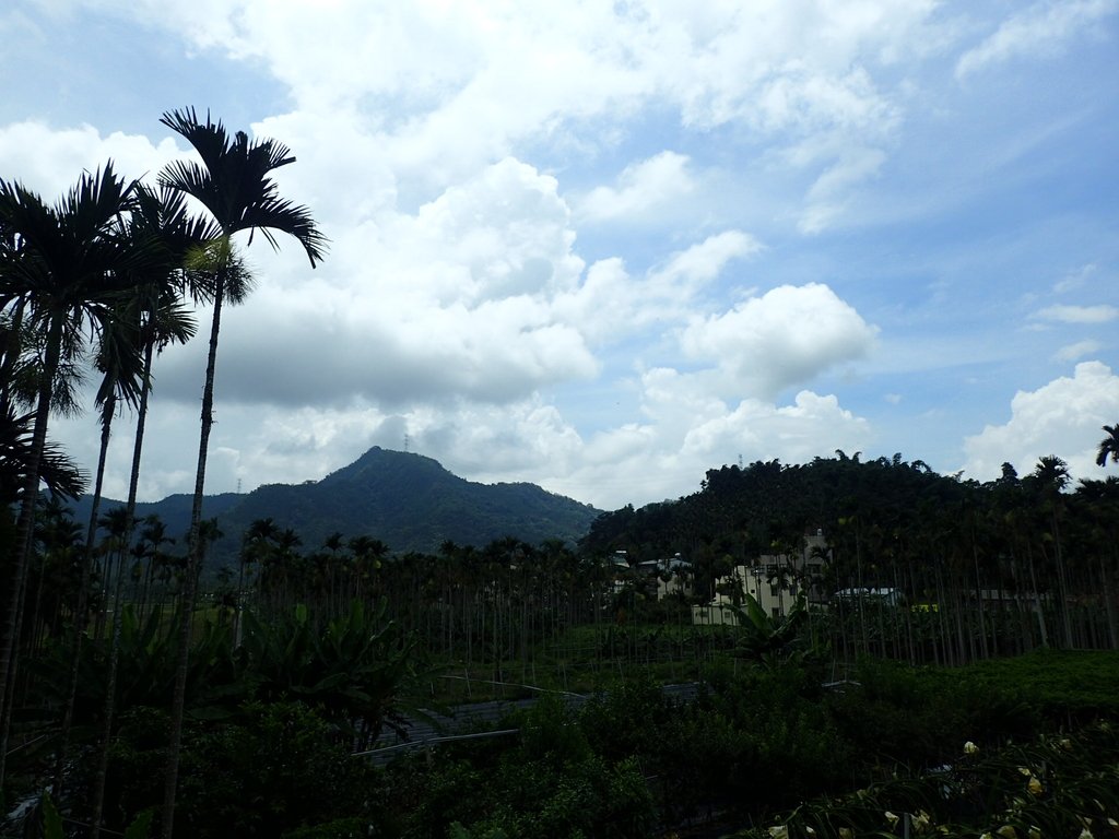 P9017461.JPG - 魚池  頭社  後尖山步道