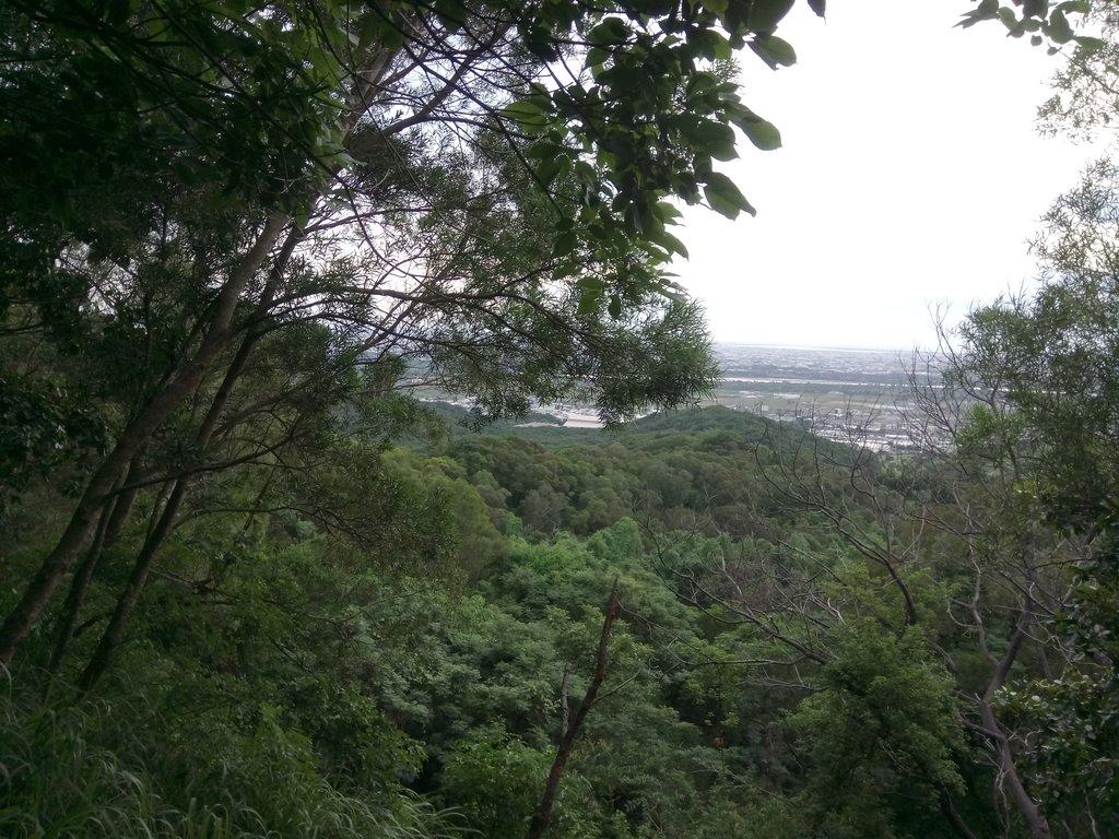 DSC_3987.JPG - 大肚  萬里長城登山步道