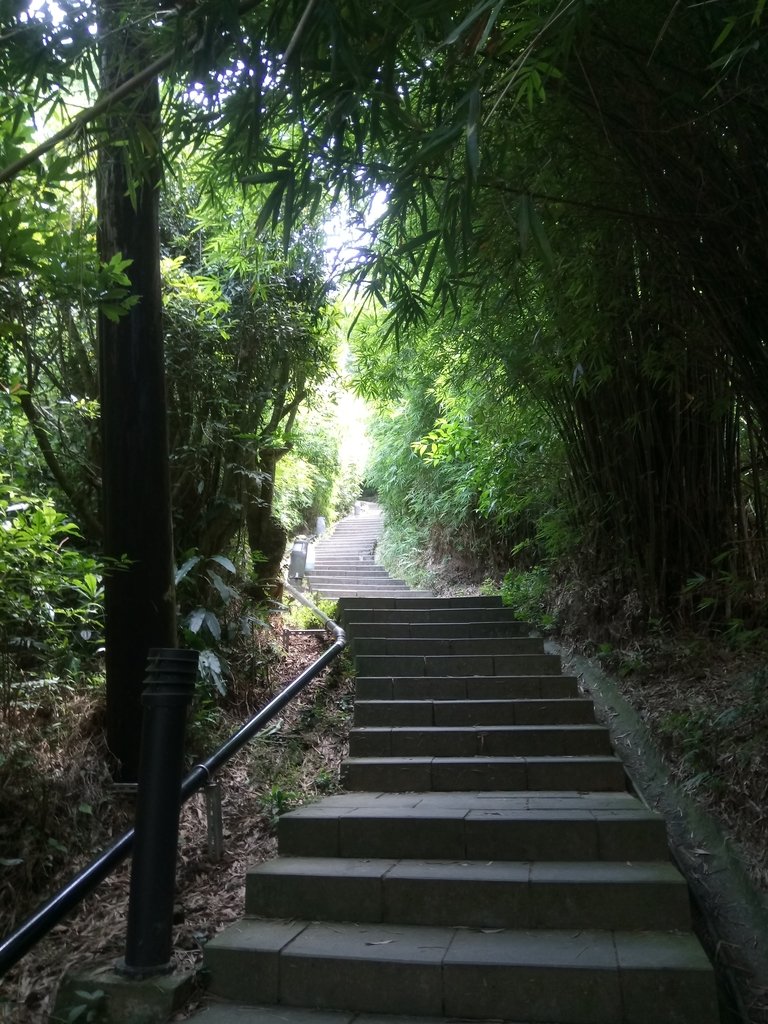 DSC_6849.JPG - 觀音山  風櫃斗湖登山步道