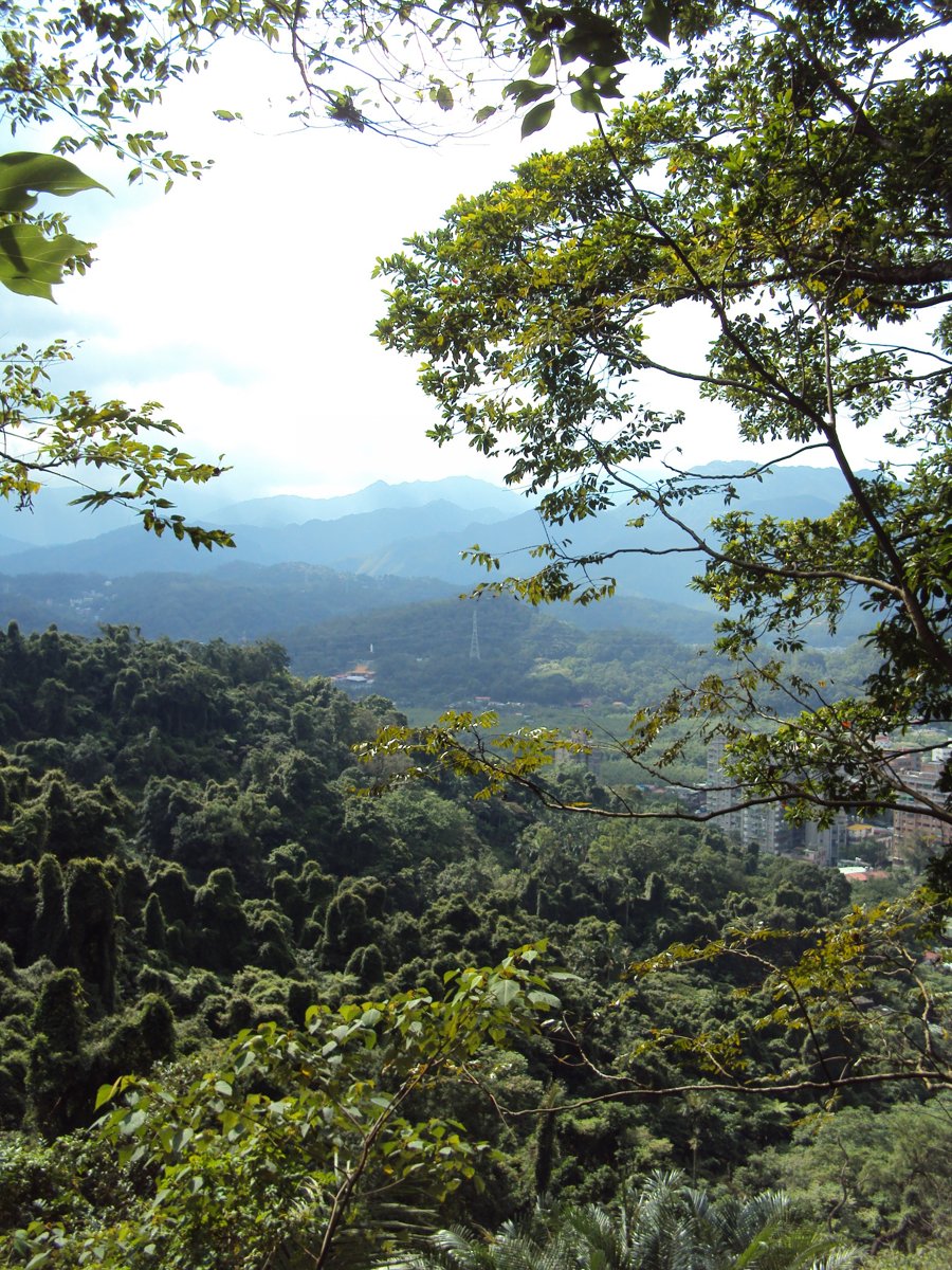 DSC01457.JPG - 新店  獅頭山登山步道