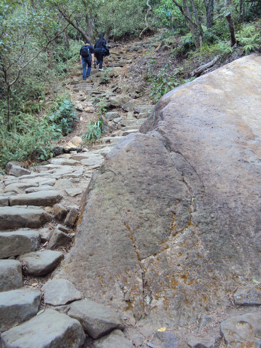 DSC06666.JPG - 內湖  金面山步道