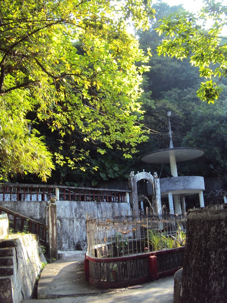 DSC00153.JPG - 基隆  中正公園  天鵝洞