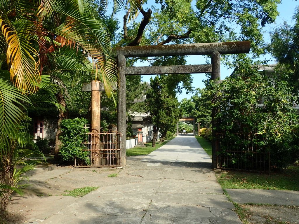 P8120336.JPG - 花蓮  新城神社遺跡