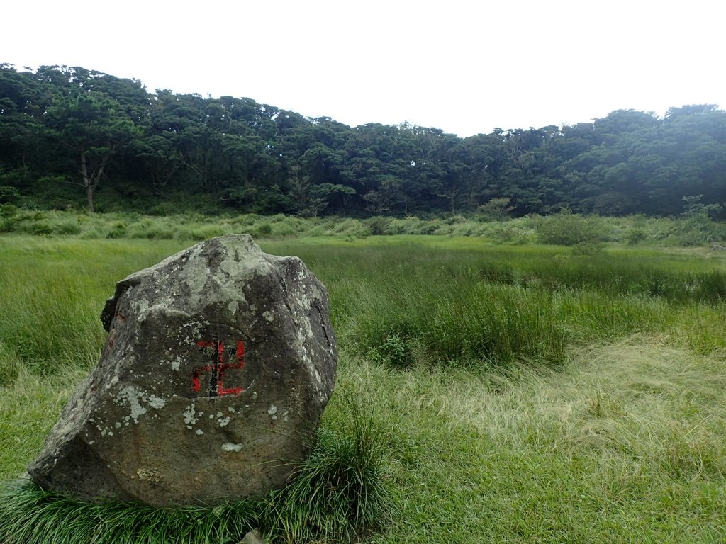 P9238222.JPG - 北投  面天山  向天湖步道